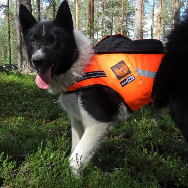 Kardog Raipe GPS-Vest