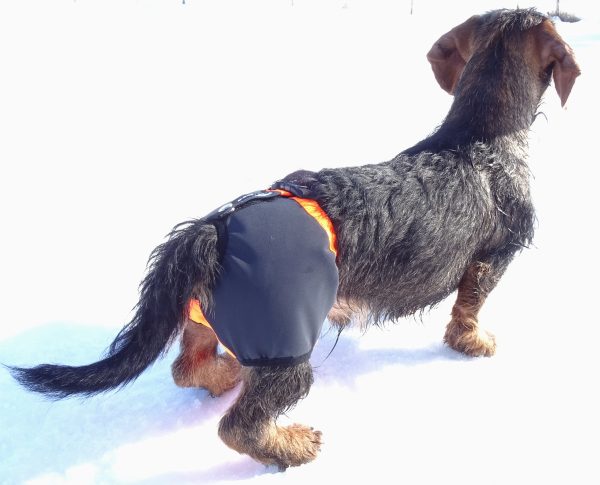 KARDOG KAAPO